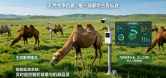 2026驼奶粉十大排名深度测评：投资报答阐发取驼
